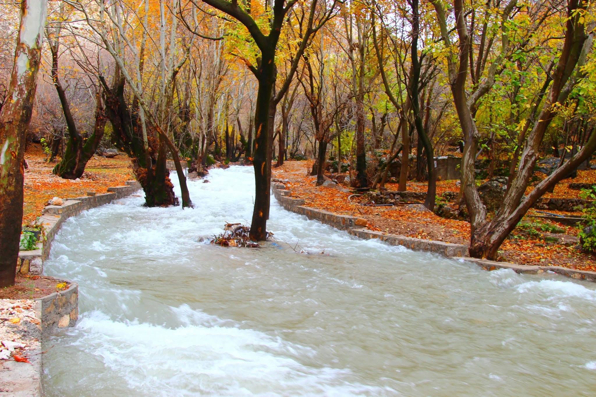 سەرچاوە ئاویەکان